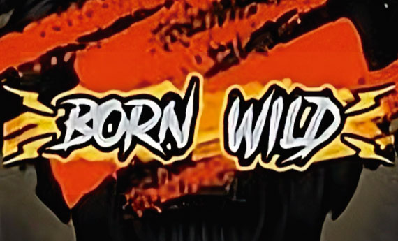 Born Wild Slot