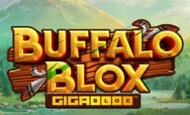 BUFFALO BLOX GIGABLOX Slot
