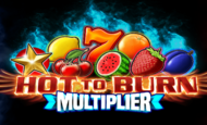 Hot to Burn Multiplier Slot