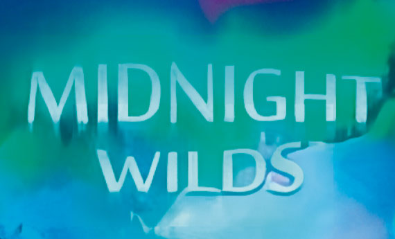 Midnight Wilds Slot