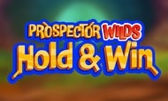 Prospector Wilds Hold and Win Slot