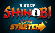 Rise of Shinobi Slot