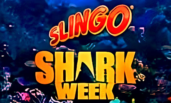 Slingo Shark Week Slot