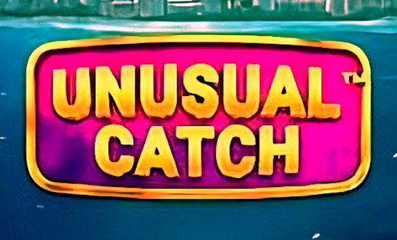 Unusual Catch Slot