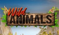 Wild Animals Slot